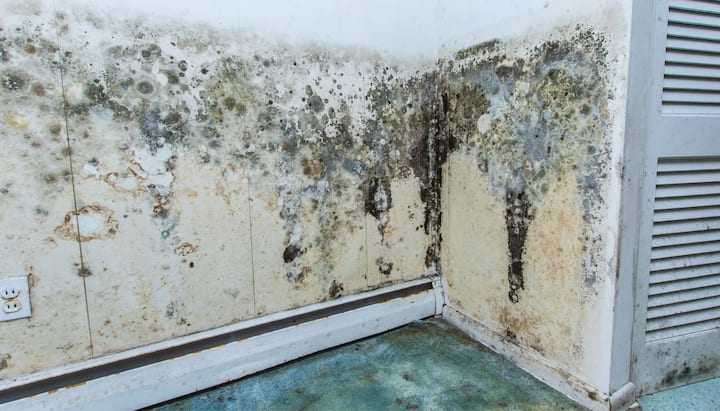 Professional mold removal, odor control, and water damage restoration service in Erie, Pennsylvania.