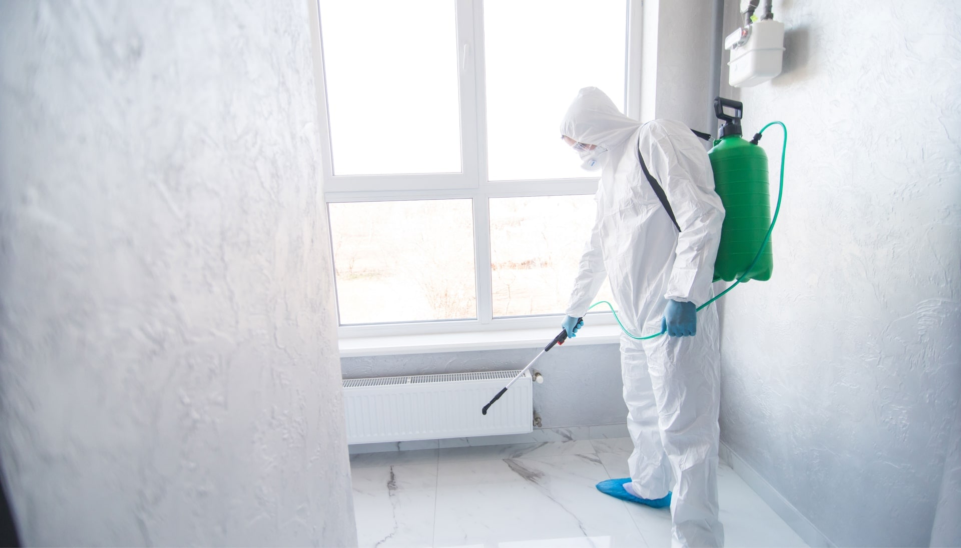 We provide the highest-quality mold inspection, testing, and removal services in the Erie, Pennsylvania area.